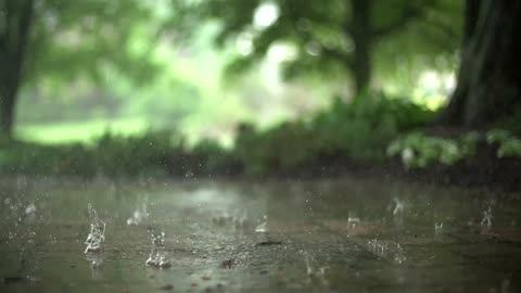 Feel Still by Listening to the Rain and the Beautiful Sound and Serene Calming Experience
