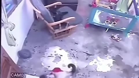 how cat save the child from falling.