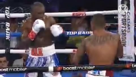 Watch this brutal KOs from boxing videos
