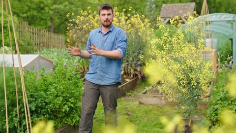 Huw Richards - You'll Never Need to Buy Seeds for These 9 Crops Again