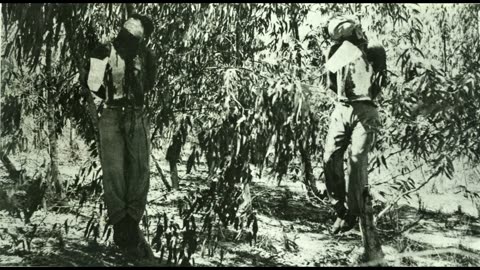 The Irgun | The Birth of Modern Terrorism (Greater Israel) - Stern Gang