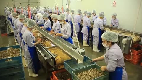 Amazing Snail Farm Technology 🐌 - Snail Harvest and Processing - Products of Snail Snail caviar