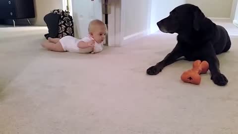 Baby's first crawl with her dog... what a cute ending!