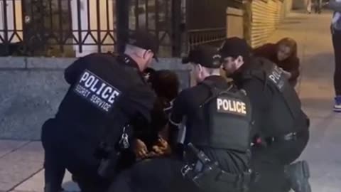 Pro-russian supporter is arrested in front of the russian embassy in Washington DC