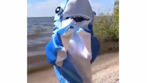 A dancing shark