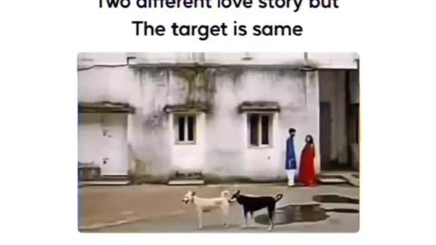 Two different love story but target same