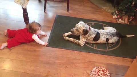 Dog Crawls Toward Baby