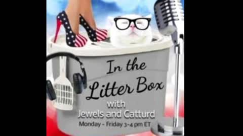 Fudging the numbers - In the Litter Box w/ Jewels & Catturd 2/4/2022 - Ep. 13