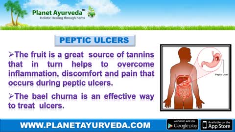 Bael Churna - Herbal Remedy for IBD, IBS & Ulcerative Colitis Treatment