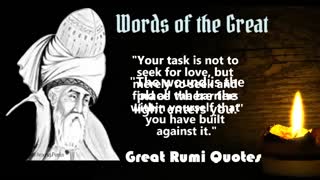 Rumi Abadi's wise words and Life Lessons