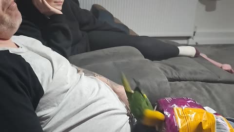 Parrot Feeds Chips to Man