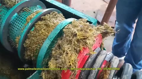 500kg palm oil screw presser