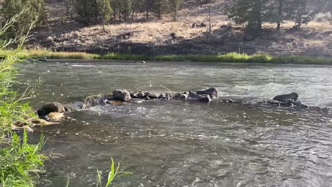 Relaxing Nature Sounds Crooked River