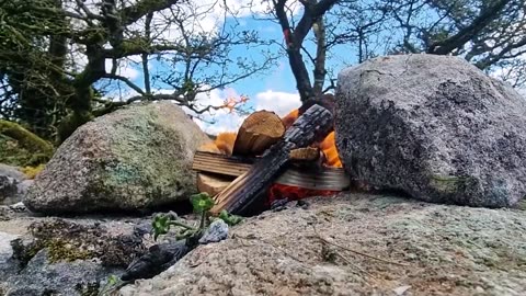 "Creating a Crispy Cheese Pizza in the Forest While Solo Camping: ASMR-Style with Relaxing Sounds"