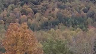 Beautiful Mountains and Changing Leaves