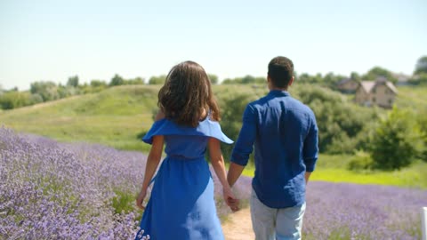 Lovers walking through a lavender field