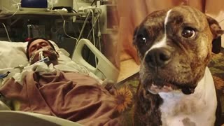 Dying Man Says Final Goodbye To His Dog, But The Dog's Reaction Will Make You Cry!