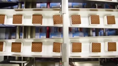 Satisfying Food Manufacturing Process