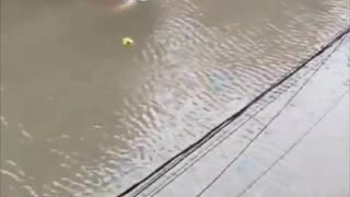 Major Floods Due To Extreme Rainfall In Corrientes, Argentina (03.03.2024)