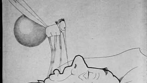 How A Mosquito Operates (1912 Film) -- Directed By Windsor McKay -- Full Movie