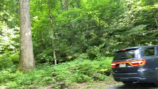 TN mountain driving