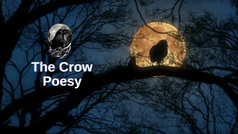 Intro The Crow Poesy