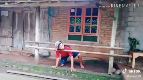 A collection of funny videos that will make you laugh