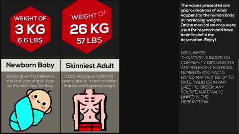 Comparison: Your Body At Different Weights