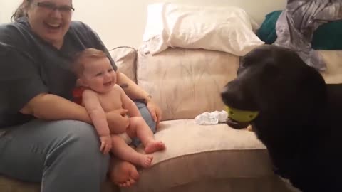 Cutest Babies Play With Dogs And Cats Compilation __ Cool Peachy