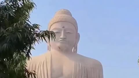 Buddha purnima