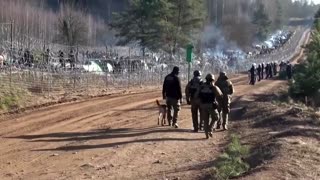 Polish govt films 'heavily armed' Belarus border troops