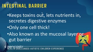 03 of 63 - The Intestinal Barrier - Health Challenges Autistic Children Experience