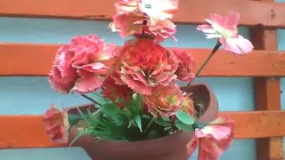 Lindas flores vermelhas de plástico no vaso perto da parede [Nature & Animals]