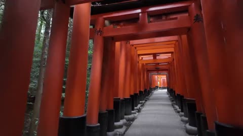 Fushimi Inari Taisha Shrine Walk Through