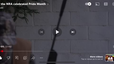 If the NRA celebrated Pride Month