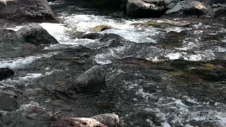 "Calming River Sounds for Stress Relief" - 2 Hours 4 Min