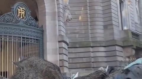 Farmers in France still protesting