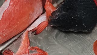 Best Cutting Skills|Fish Cutting