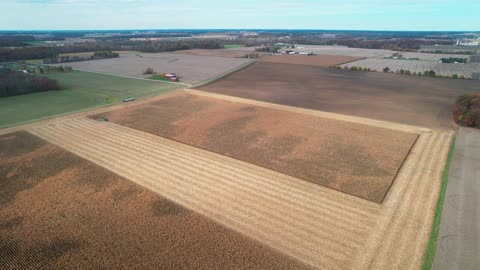 Harvesting Corn