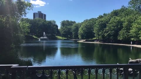 La Fontaine Park, Espace La Fontaine and Samesun Hotel in Montreal, Quebec