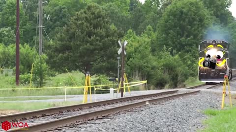 Horrible Train Crash | Monster Trains Crush Cars on Railroad - Woa Doodland