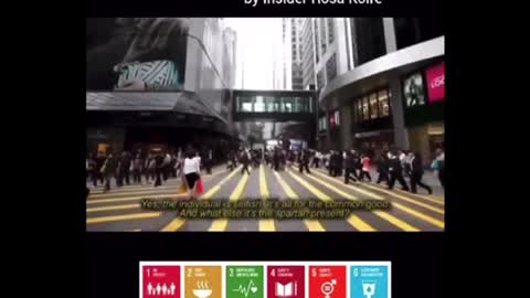 What is United Nations Agenda 21/Agenda 2030?