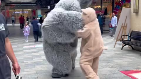 Naughty Bear Funny Video😹🤣