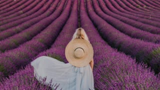 Did you know? Lavender fields, Provence, France