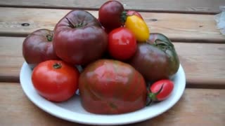 TOMATO FEAST! ~ RAW FOOD IN 30 SECONDS - Oct 5th 2011