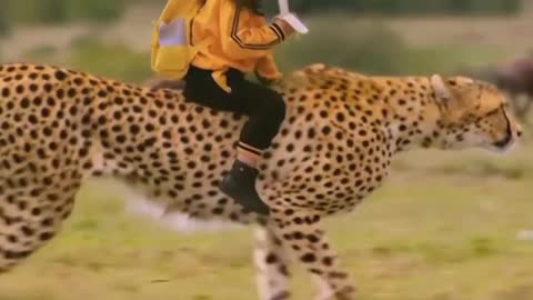 Cheetah Conqueror