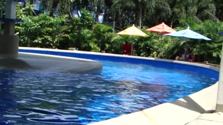 Vacation 2012 SeaWorld Dolphin Nursery