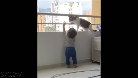 قط يحمى طفل من السقوط