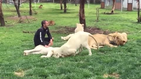 Animal heroes protecting there owner's