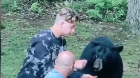 bear eating pbj with family